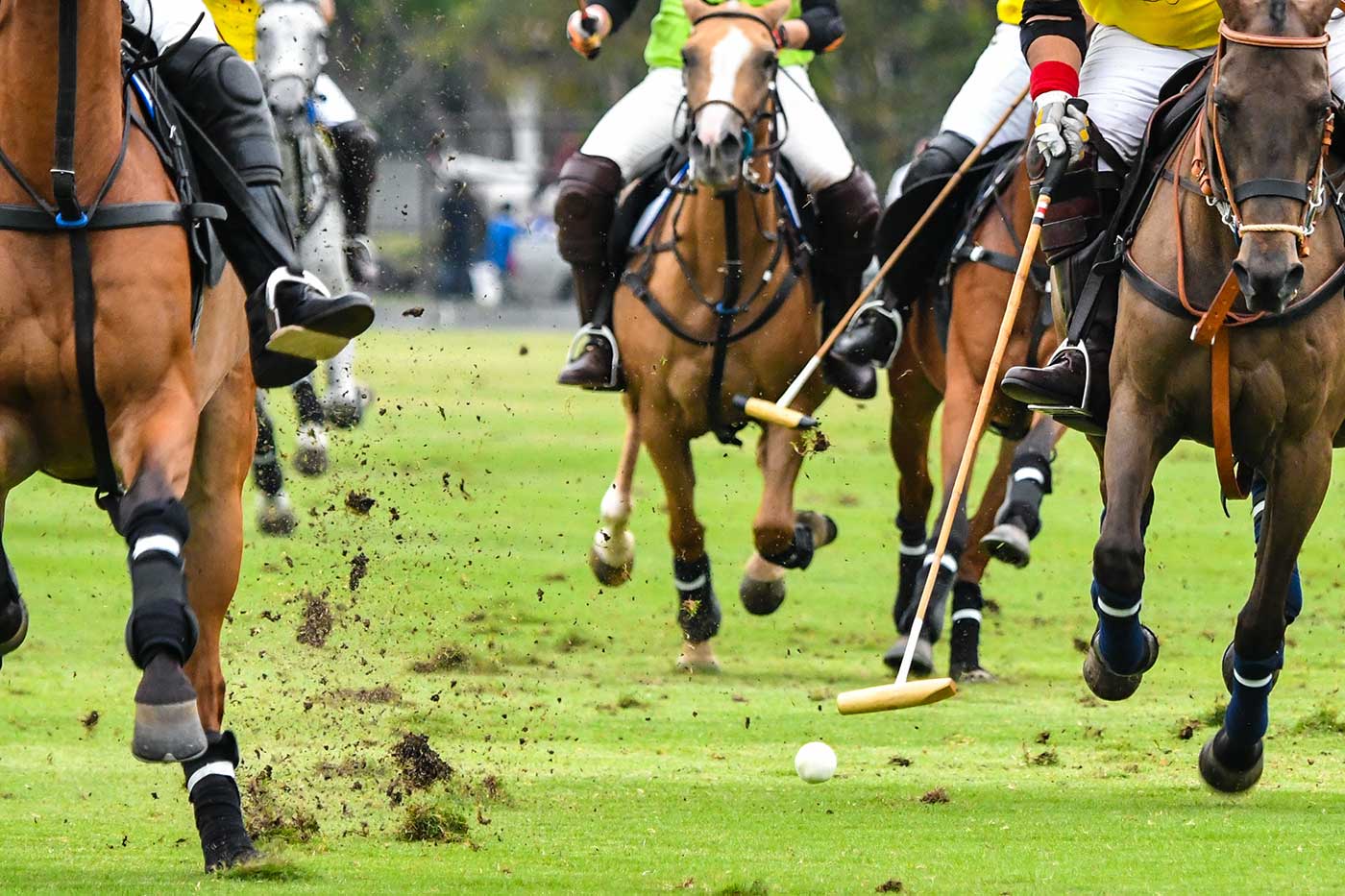 POLO.jpg